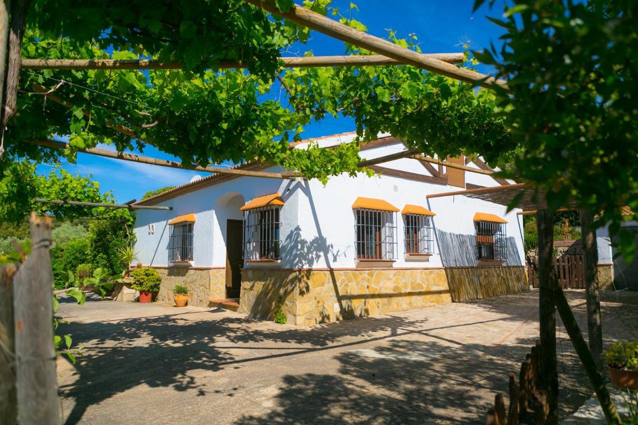 Casa Rural La Parada La Joya Εξωτερικό φωτογραφία
