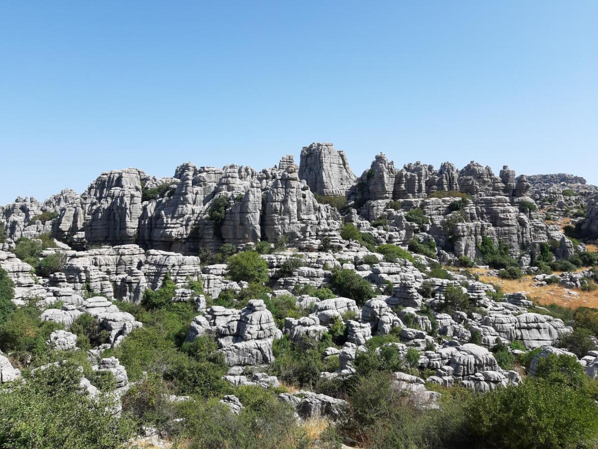 Casa Rural La Parada La Joya Εξωτερικό φωτογραφία