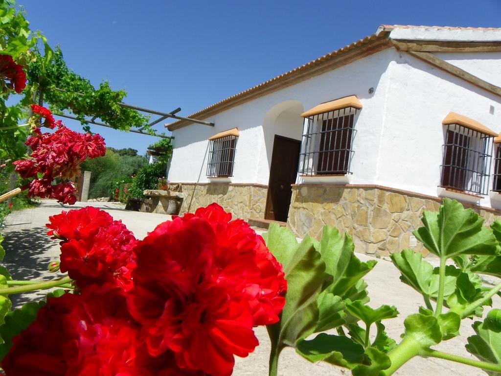 Casa Rural La Parada La Joya Εξωτερικό φωτογραφία
