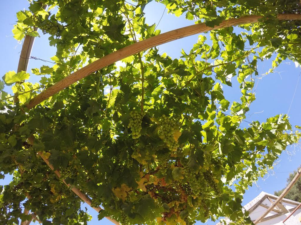 Casa Rural La Parada La Joya Εξωτερικό φωτογραφία